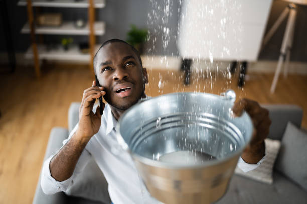 Best Basement water damage restoration  in Monument Beach, MA