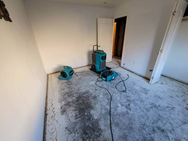 Best Water damage restoration process  in Monument Beach, MA