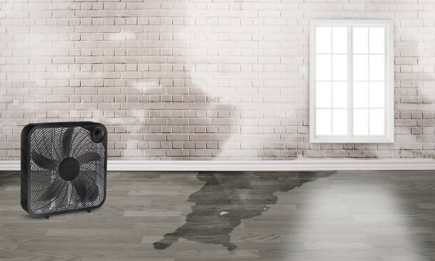 Best Emergency water damage restoration  in Monument Beach, MA