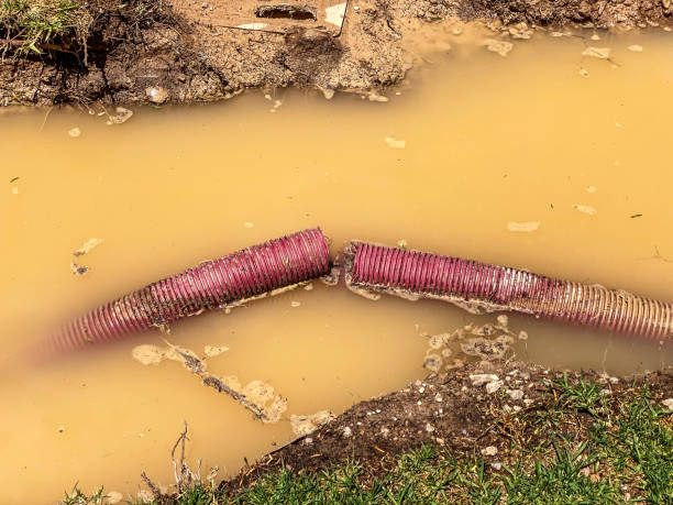 Best Professional water damage repair  in Monument Beach, MA