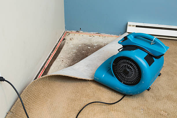 Best 24/7 water damage repair  in Monument Beach, MA